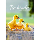 Tierkinder